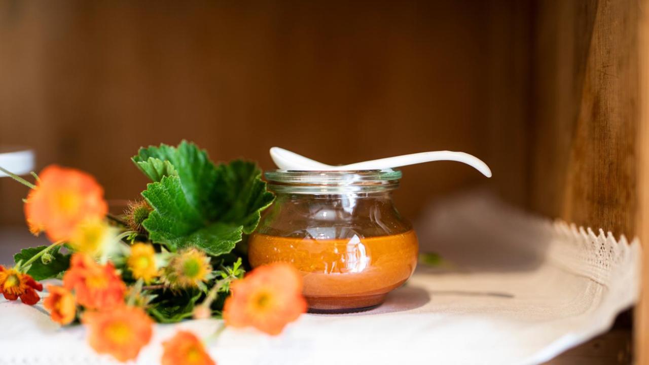 Natura Boutique Chalet Wellness Spa Dobbiaco Exterior foto